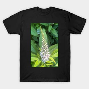 Forest Bathing with Tender Nature T-Shirt